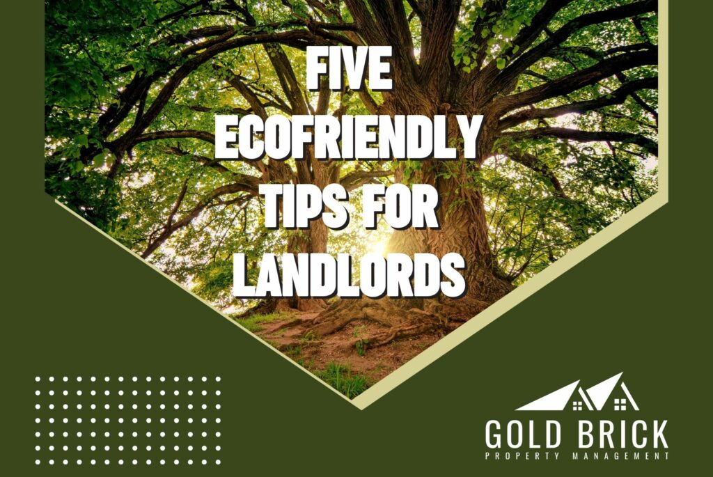 Five ecofriendly tips for landlords